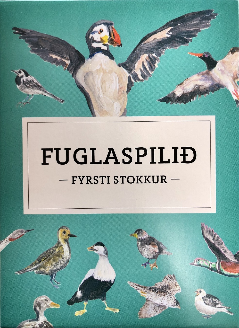 Fuglaspilið