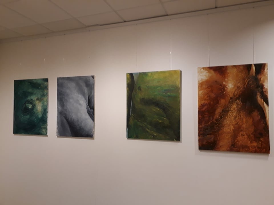 Tiha Toleva sýnir á bókasafninu