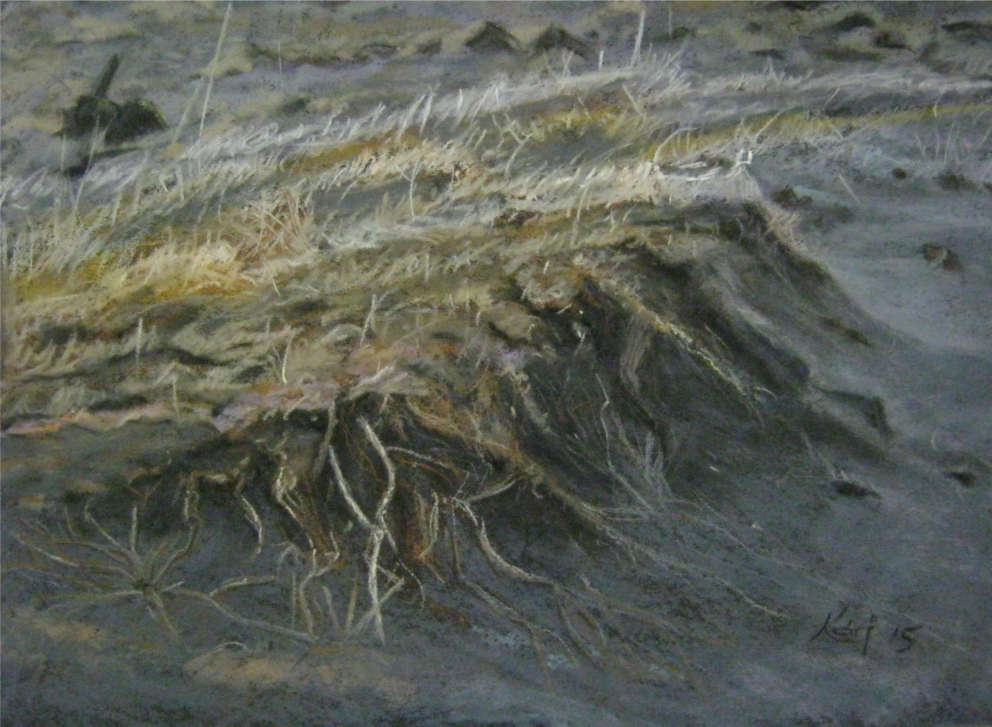 Málverkasýningar Kára