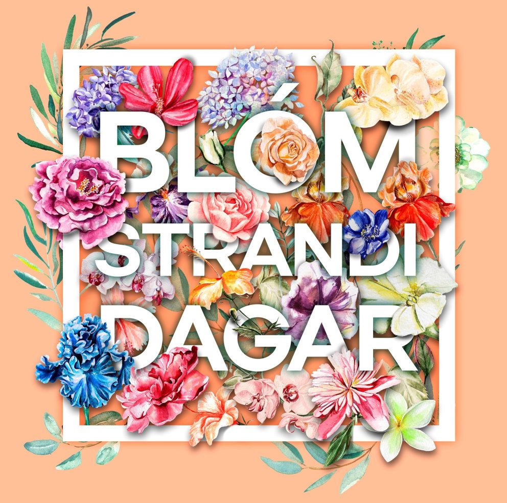 Dagskrá bókasafnsins á Blómstrandi dögum