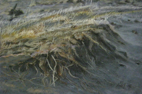 Málverkasýningar Kára