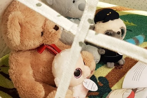 Bangsagisting á bókasafninu