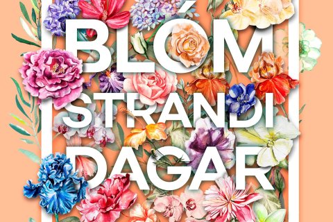 Dagskrá bókasafnsins á Blómstrandi dögum